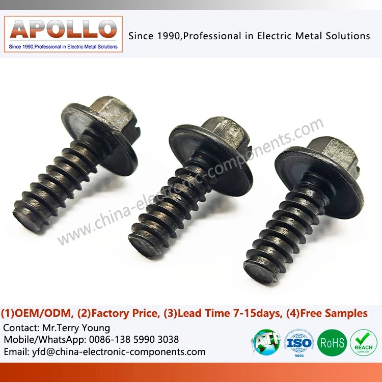 Flanged Screw with Hexagonal Head